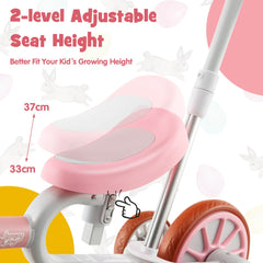 4-In-1 Multifunctional Kids Training Balance Trike Wih Adjustable Push Handle