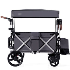 Push Pull Stroller Wagon with Adjustable Handle Bar