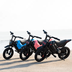 Electric Dirt Bike for Kids 150W, Adjustable Speed 8/16 km/h, Up to 10 km Range