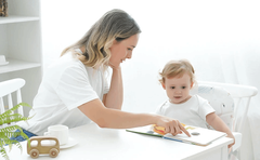 Portable Baby High Chair 6 Months Plus with Booster Seat