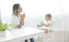 Portable Baby High Chair 6 Months Plus with Booster Seat