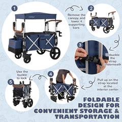 Push Pull Stroller Wagon with Adjustable Handle Bar